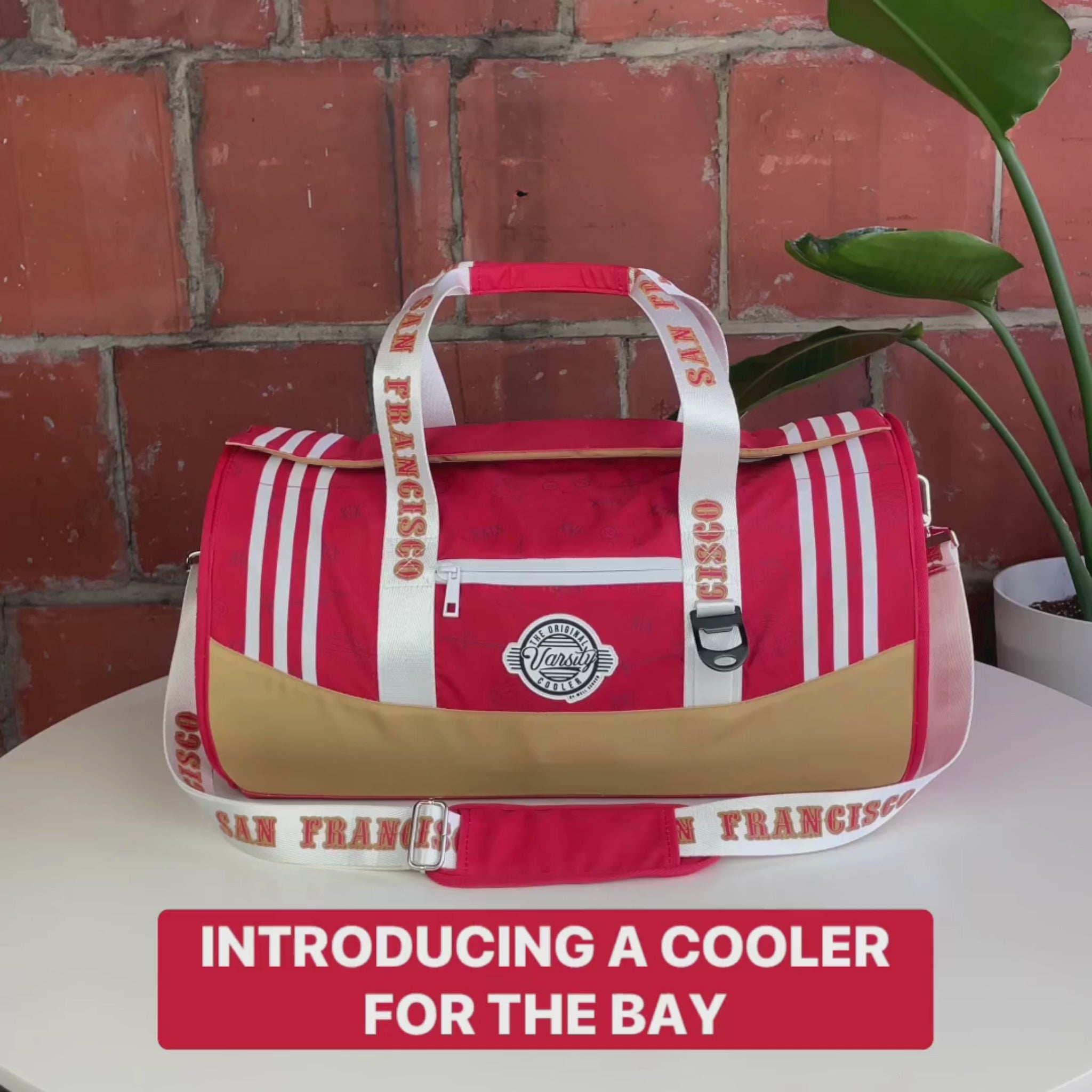 San francisco 49ers ice shops chest